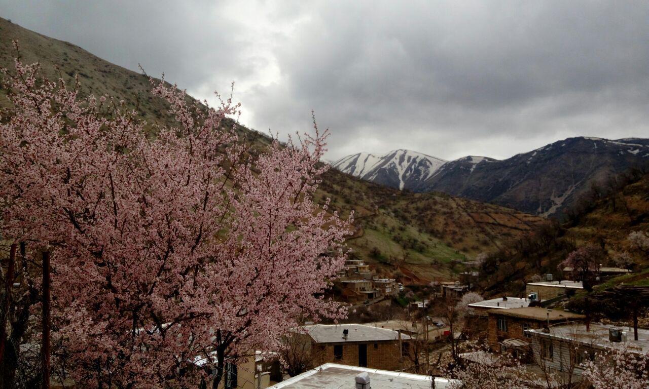 اتاق میخه ک