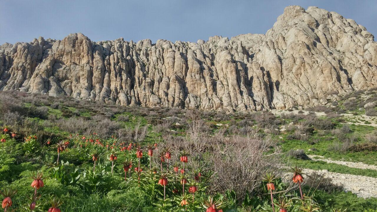 اتاق میخه ک