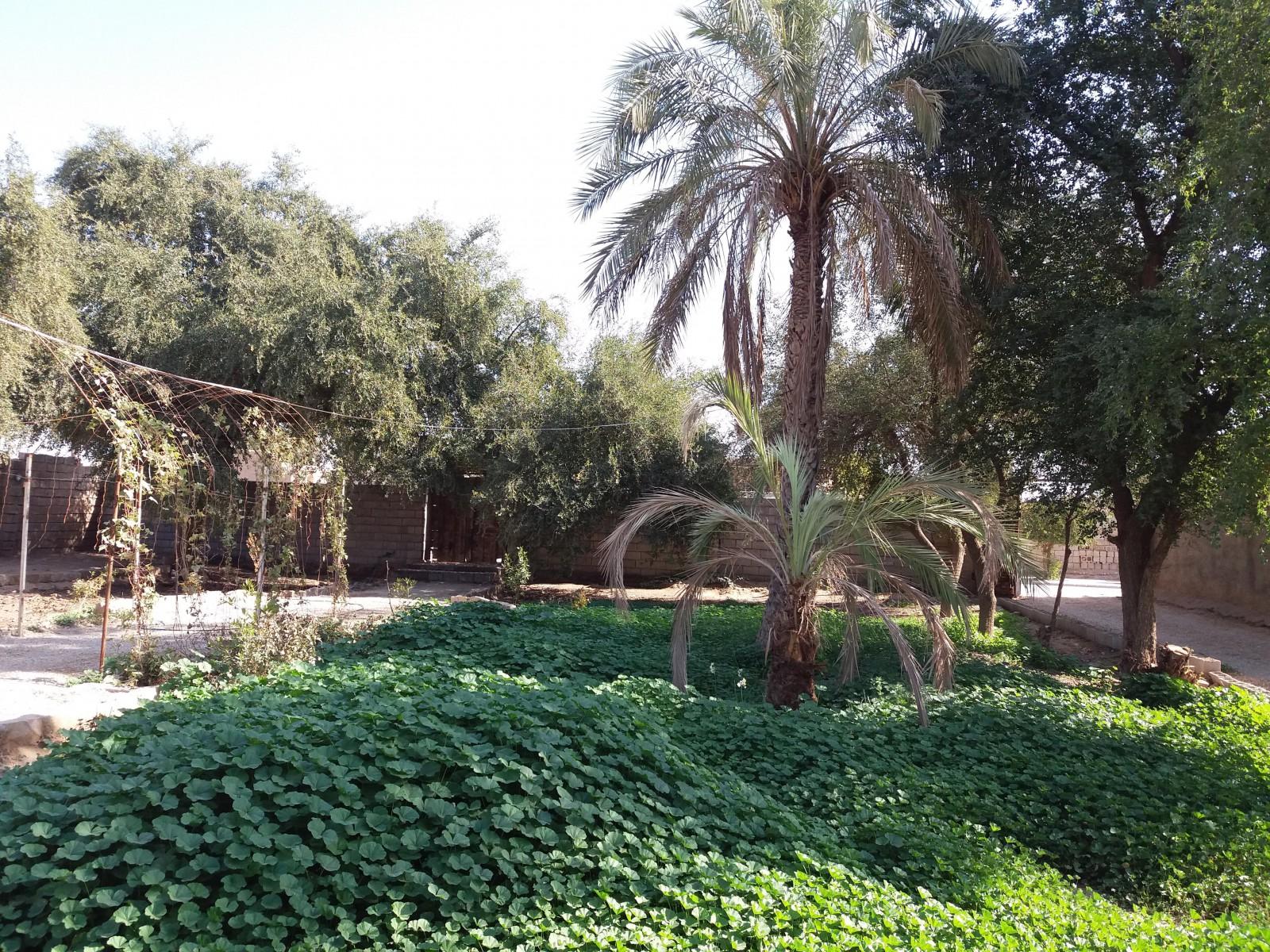 اتاق 1 