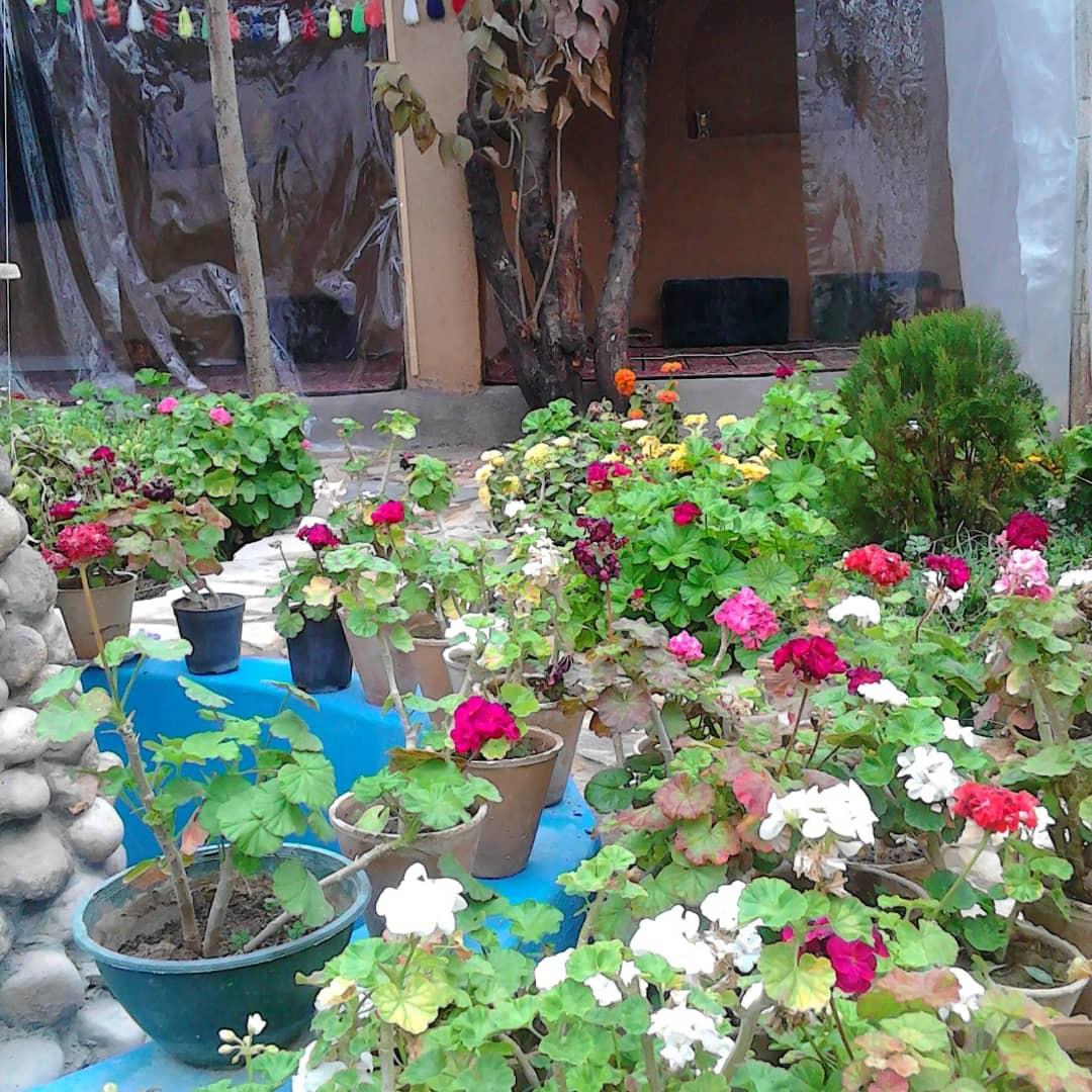 اتاق سنتی 1