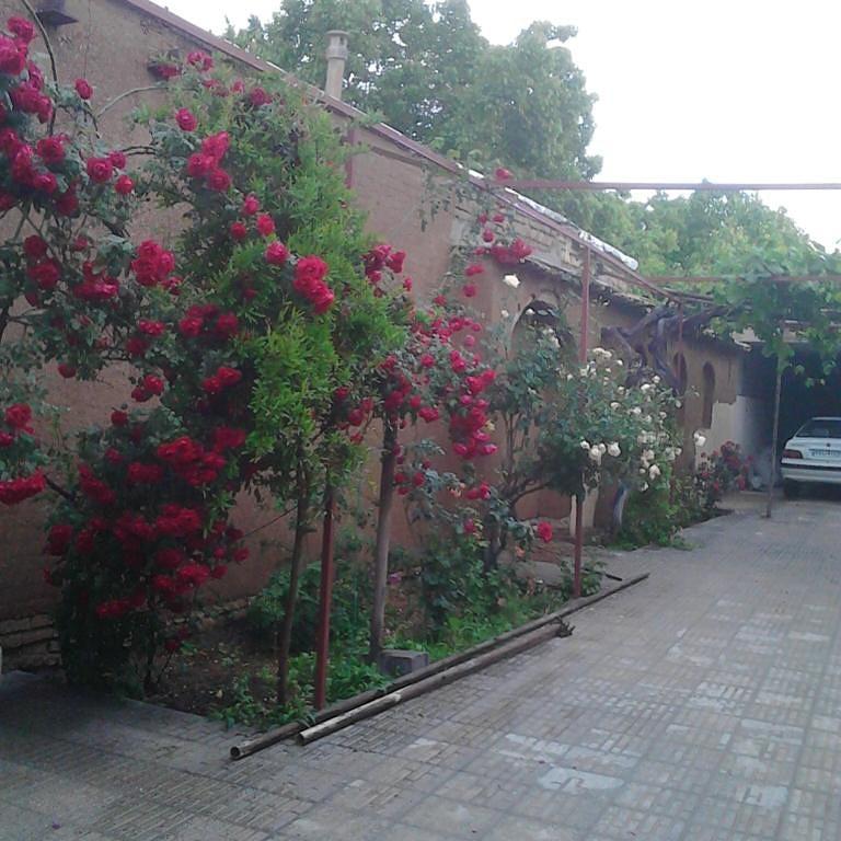 اتاق سنتی 1