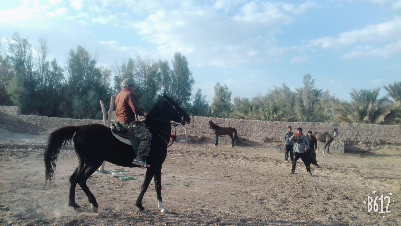 اقامتگاه بوم گردی فهرج