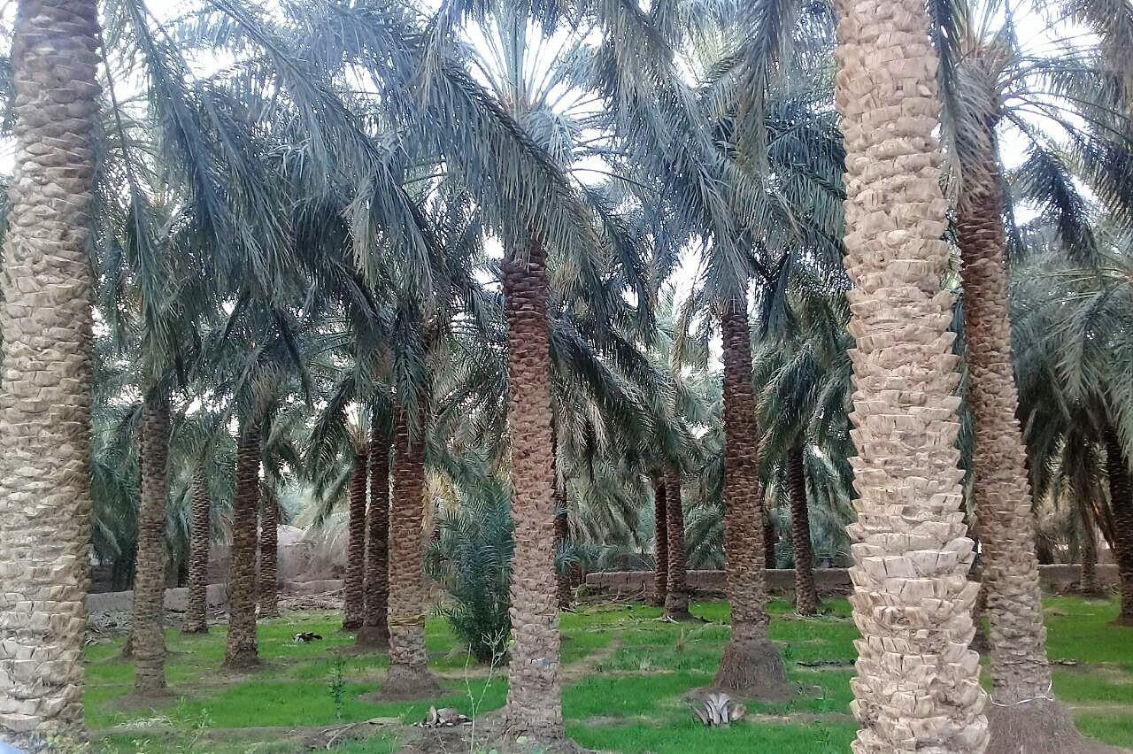 بوم گردی نرماشیر
