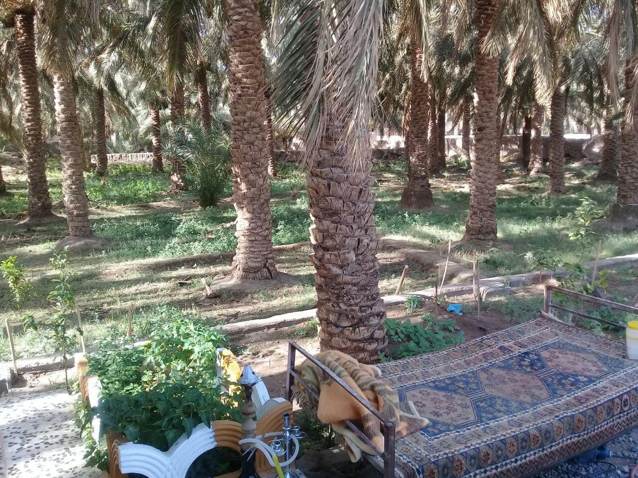 بوم گردی نرماشیر