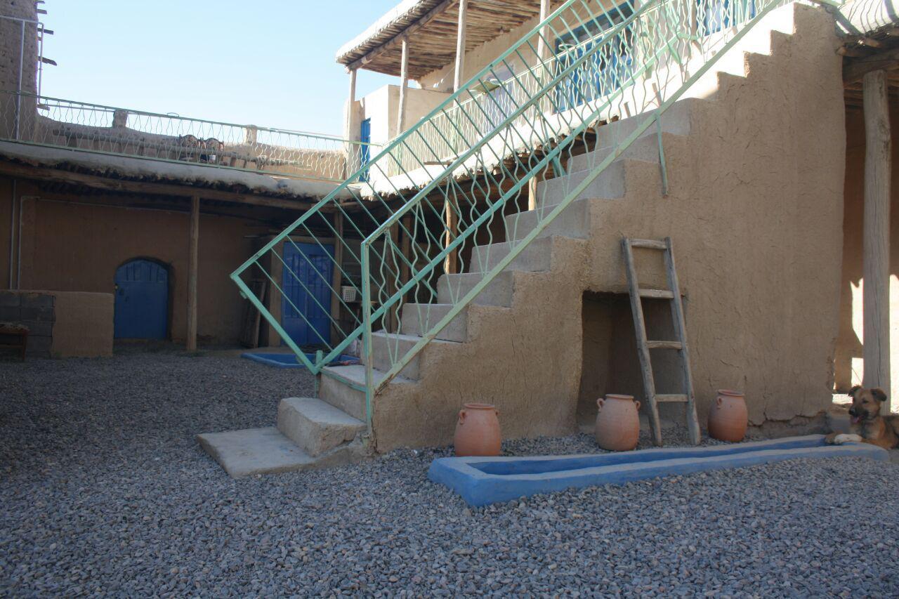 بوم گردی در بهار
