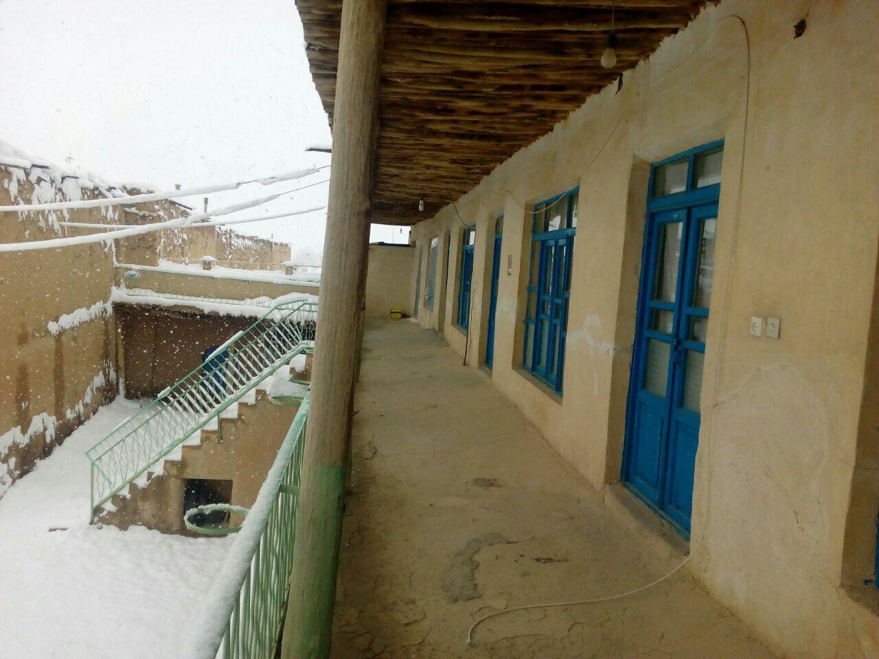 بوم گردی در بهار