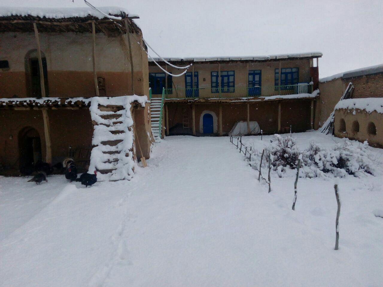 بوم گردی در بهار