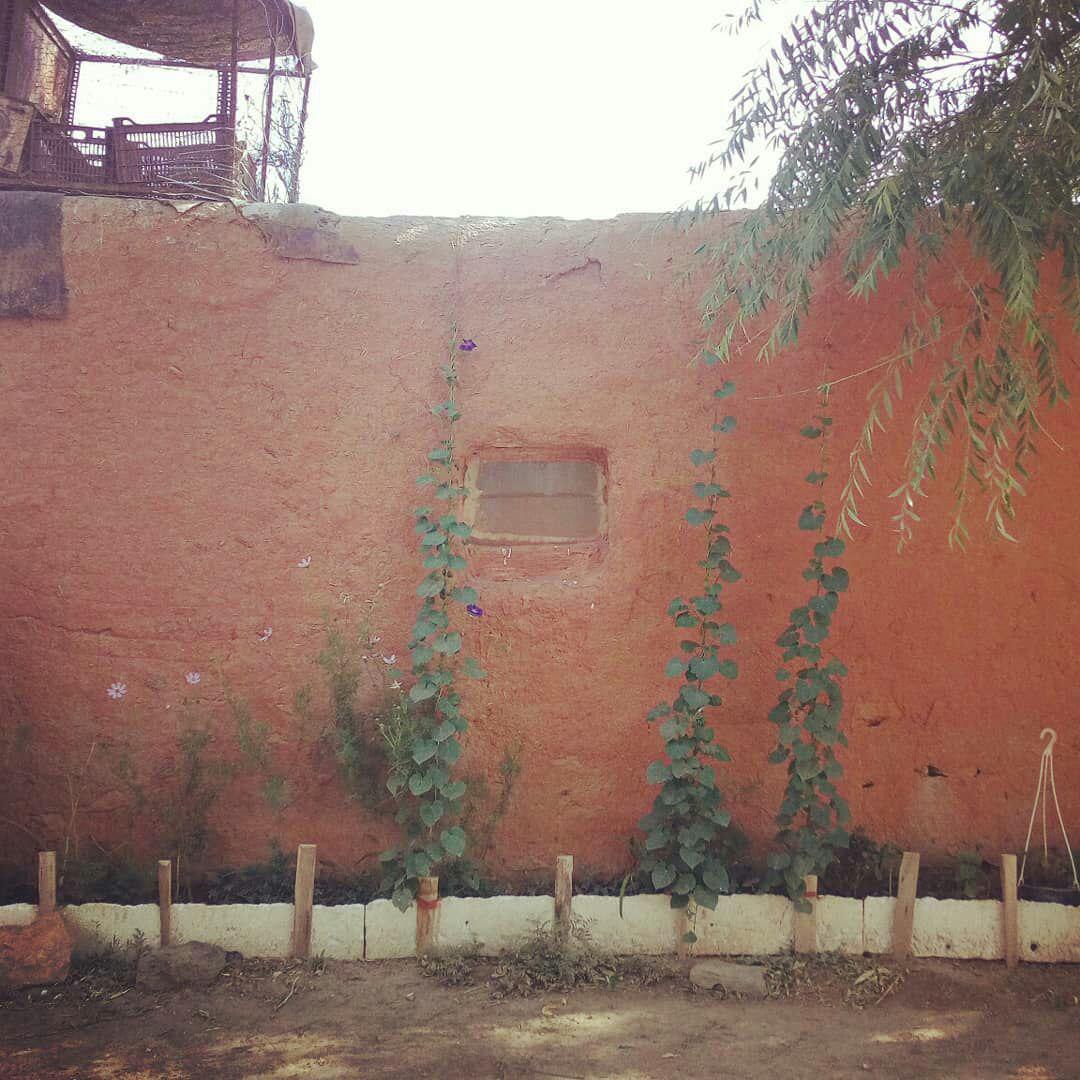 بوم گردی در بهار