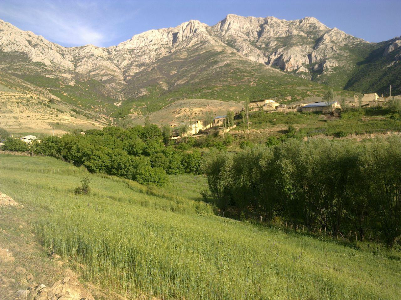 اقامتگاه بومگردی ساری