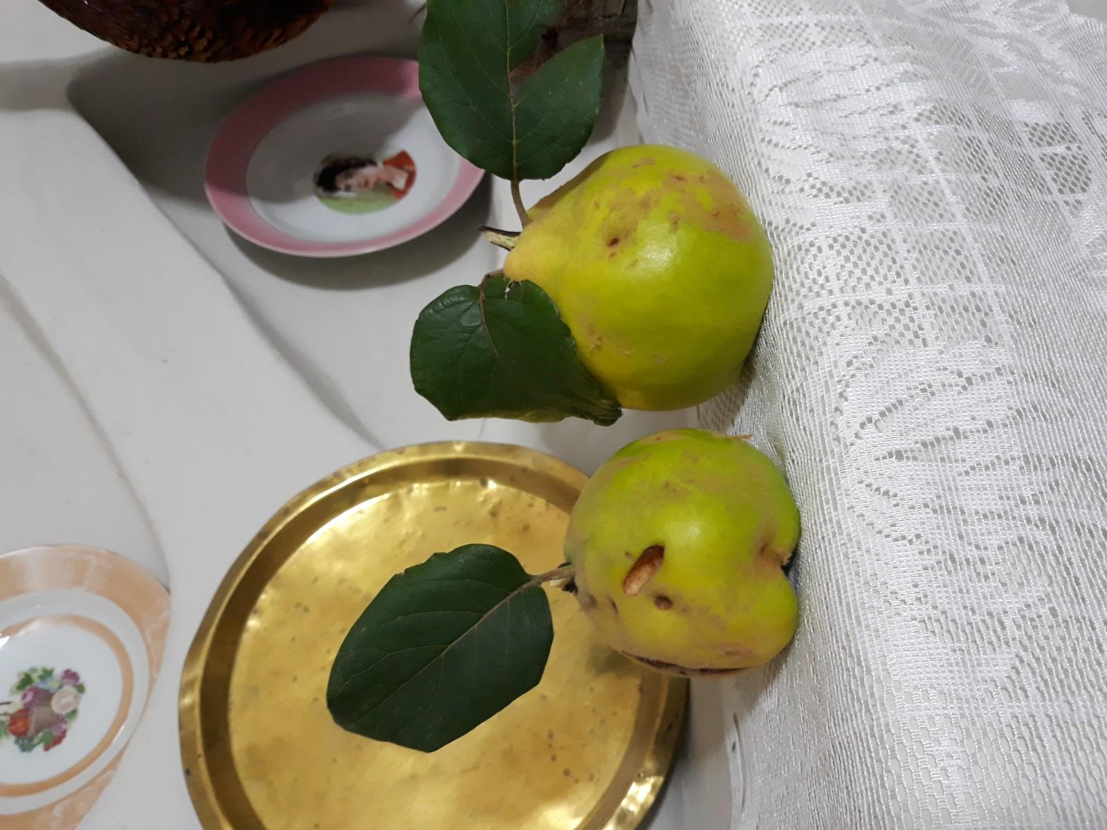 اقامتگاه بوم گردی در ساری