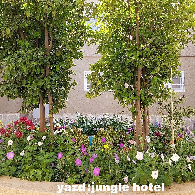اتاق 3 تخته