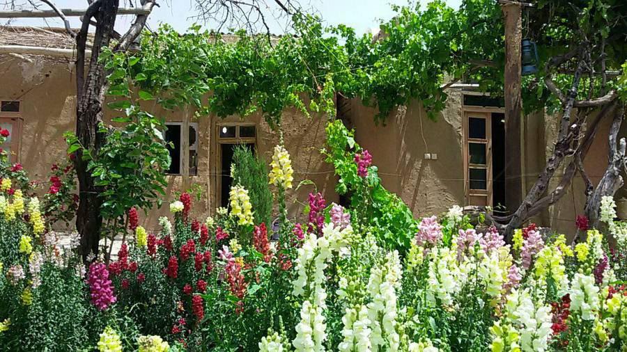 بوم گردی نیریز