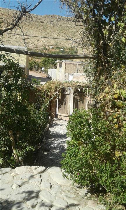 بوم گردی نیریز