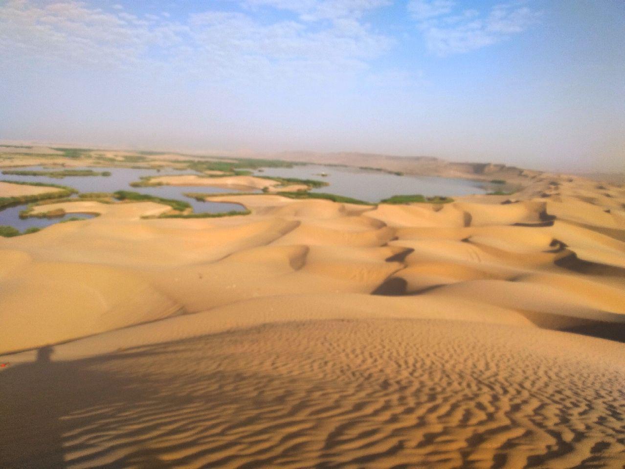 بوم گردی شاهدیه