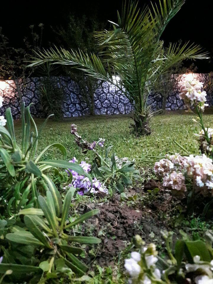 ویلا باغ اجاره ای ماسال