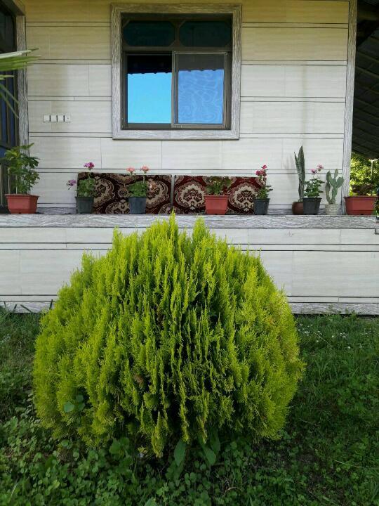 ویلا باغ اجاره ای ماسال