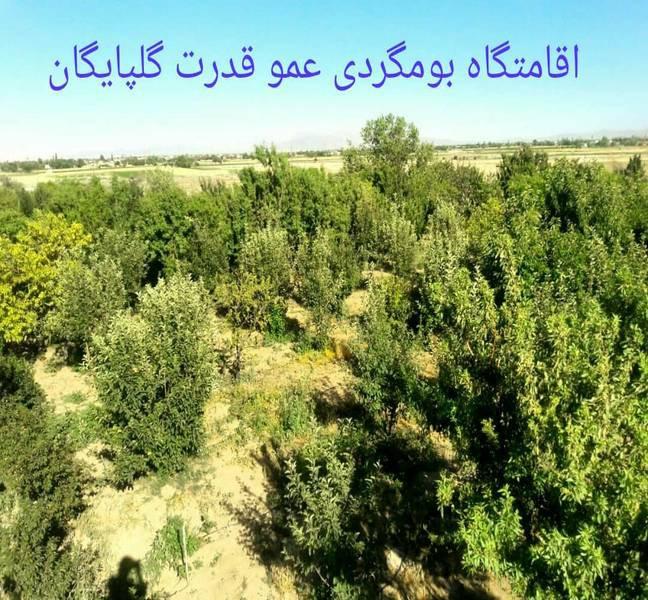 اقامتگاه بوم گردی گلپایگان