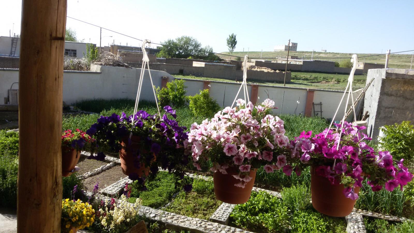 اتاق 1
