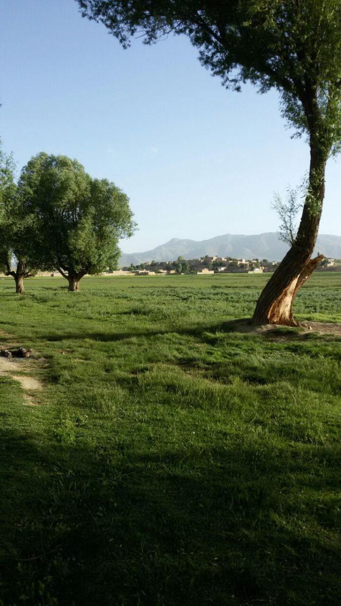 اتاق 1