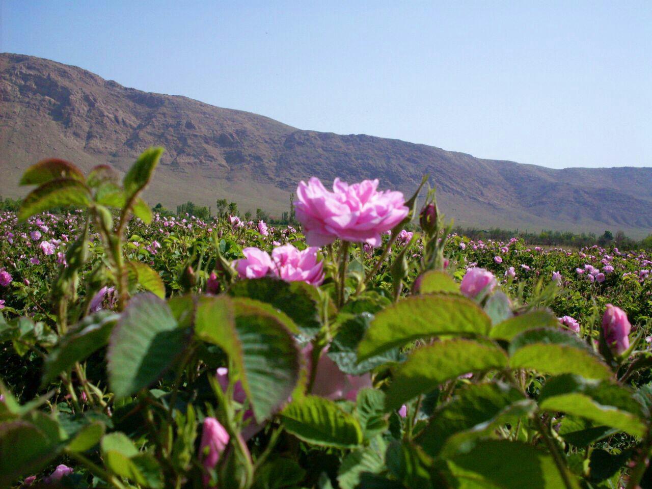 اقامت بوم گردی اصفهان