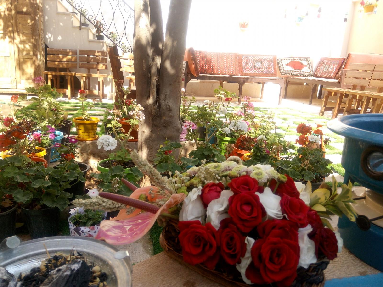 بوم گردی شیراز
