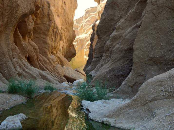 اتاق 5 نفره