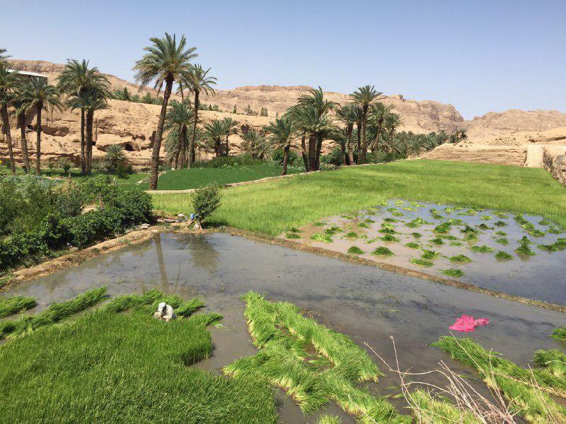 اتاق 5 نفره