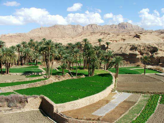 بوم گردی طبس مسینا