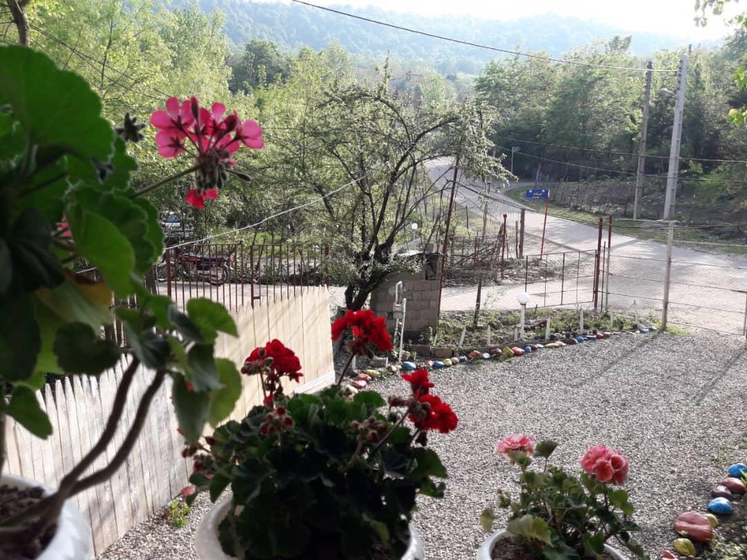 سوئیت اجاره ای در ماسال