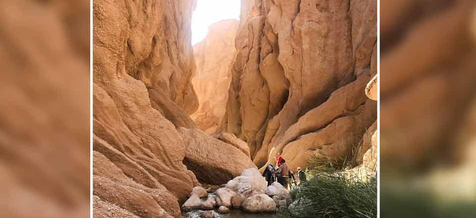 هتل نارنجستان در طبس