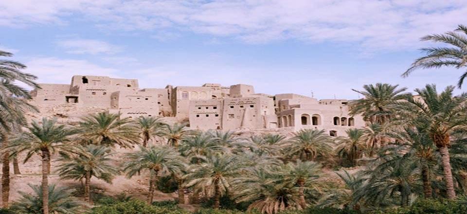 بوم گردی نایبند در طبس