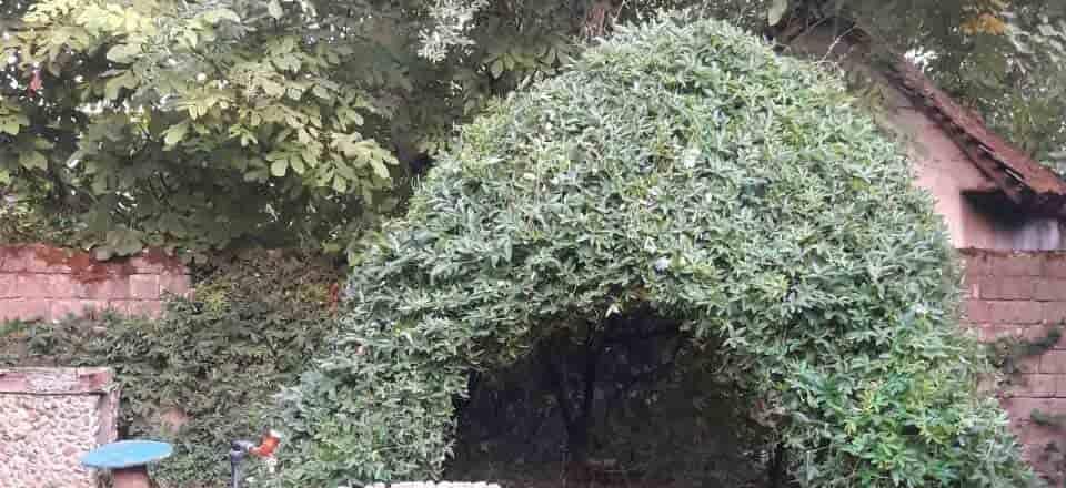 اجاره بوم گردی خوش قدم در تالش