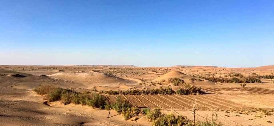 اجاره اقامتگاه بیراهه در خور