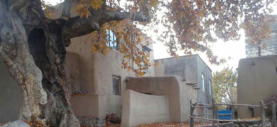 بوم گردی حاج آقا محمد در شاهرود