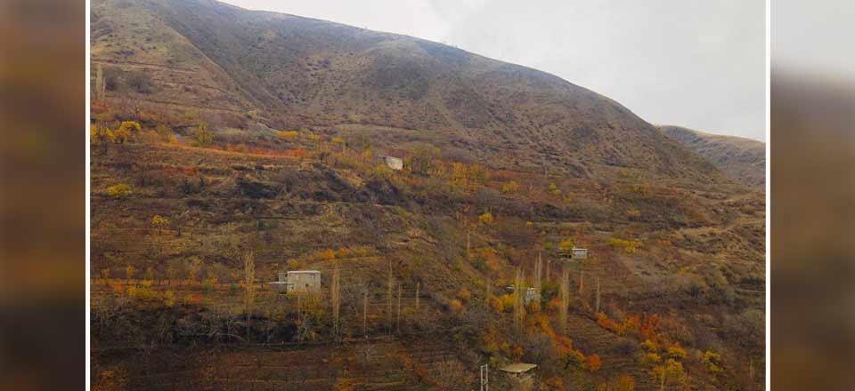 اقامتگاه بوم گردی تریفه سنندج 