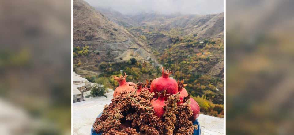 اقامتگاه بوم گردی تریفه سنندج 