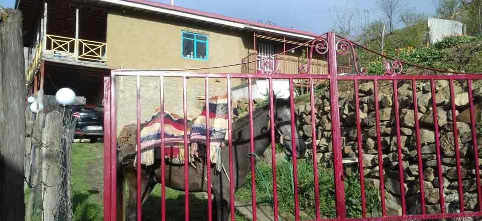 اقامتگاه بوم گردی دربست  رامسر