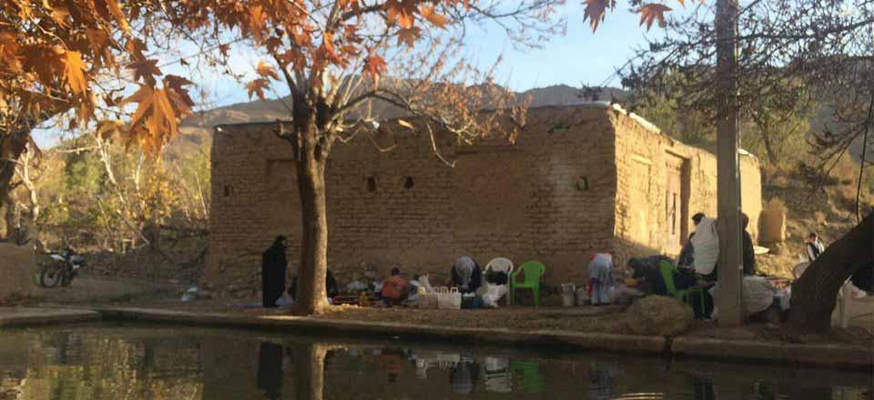 بوم گردی چیتا شاهرود