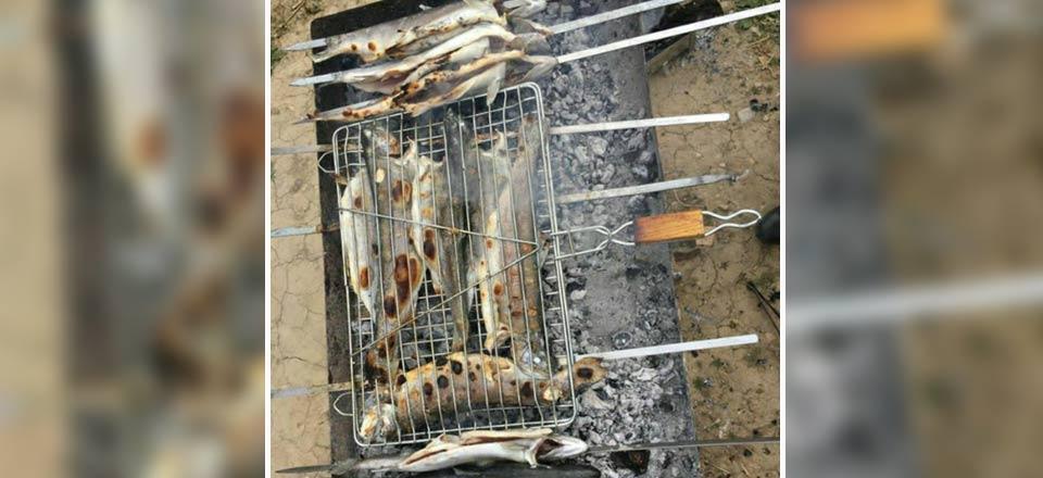 اقامتگاه بوم گردی پنو گالیکش