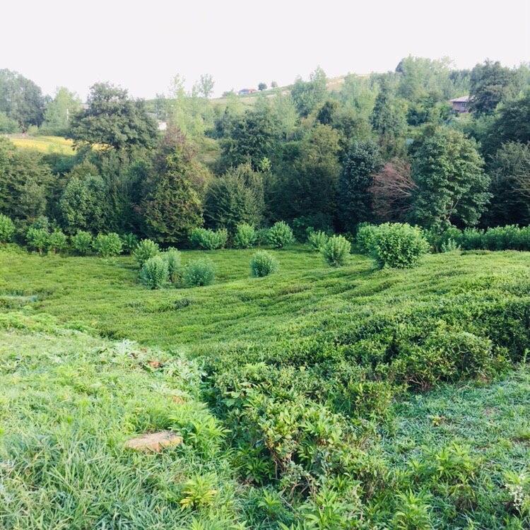 اقامتگاه بوم گردی اطراف رشت