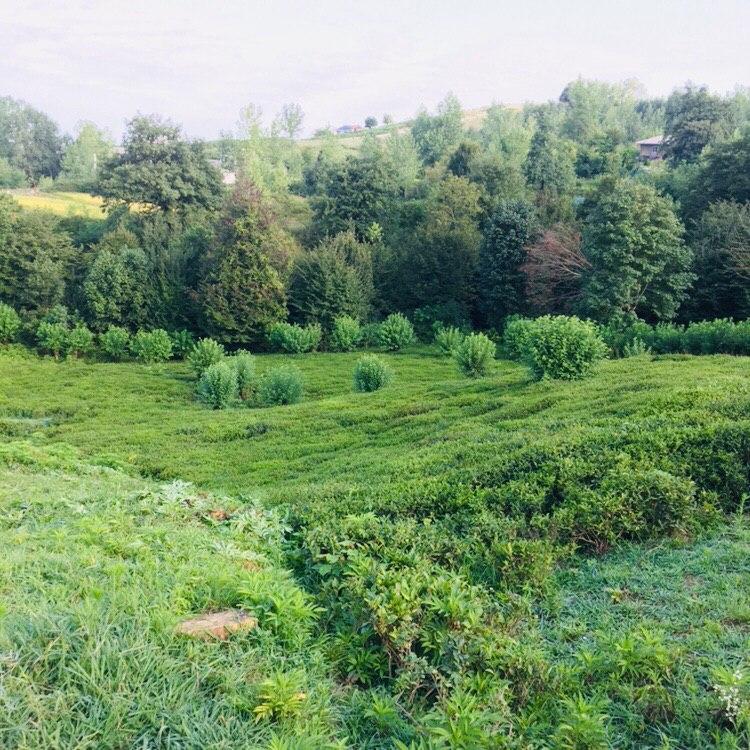 اقامتگاه بوم گردی اطراف رشت