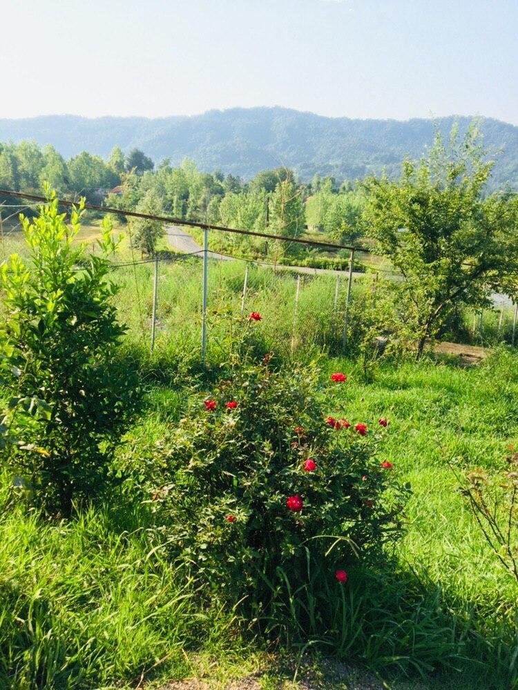 اقامتگاه بوم گردی اطراف رشت