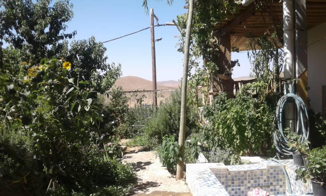 بوم گردی در نطنز