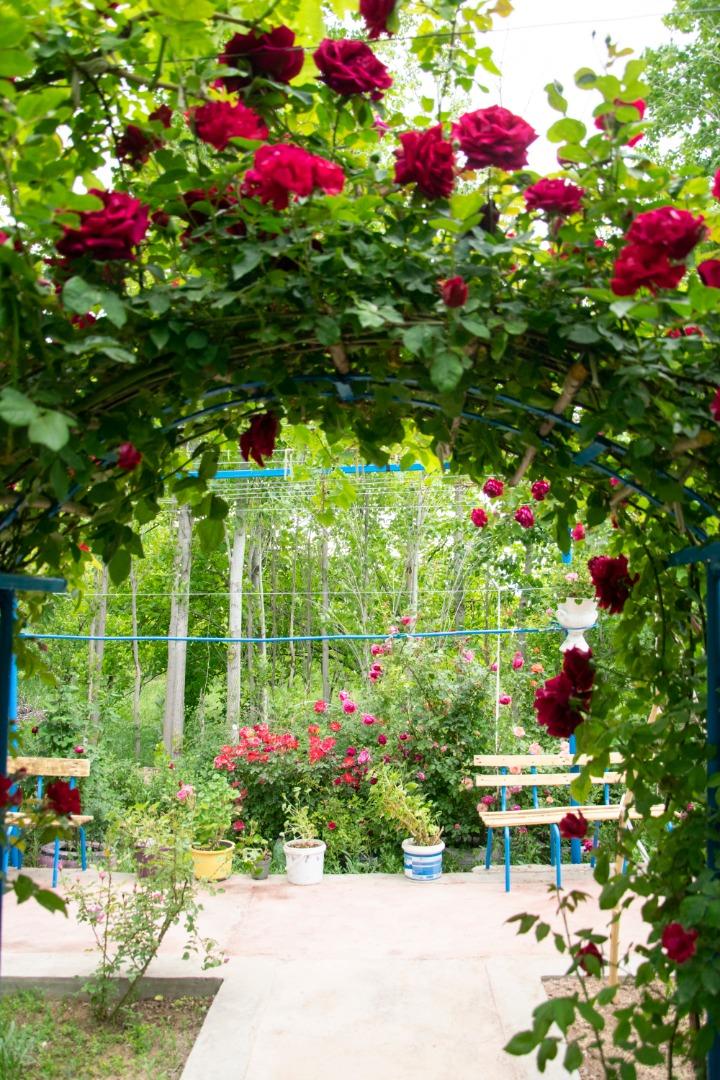 بوم گردی جلفا