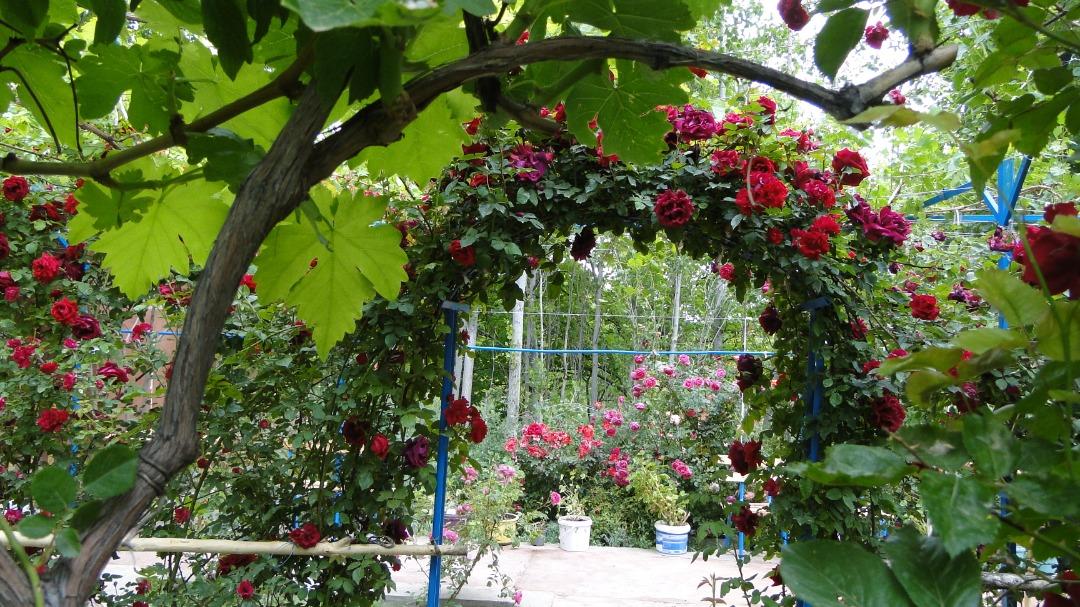 بوم گردی جلفا