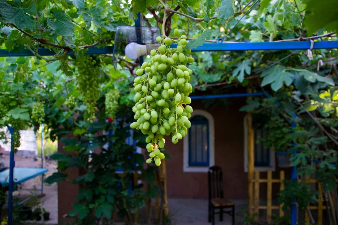 بوم گردی جلفا