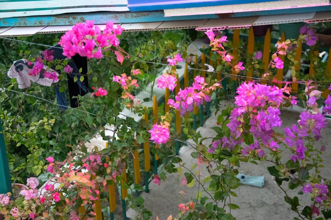 بوم گردی جلفا
