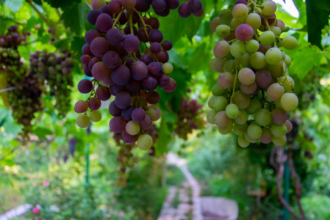 بوم گردی جلفا