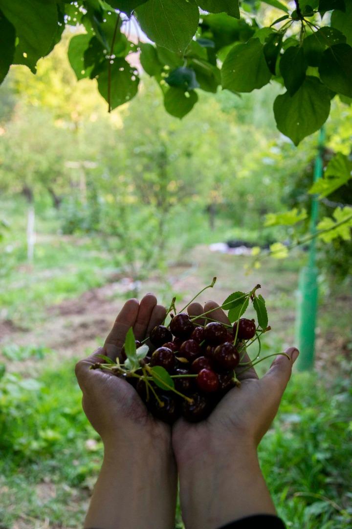 بوم گردی جلفا