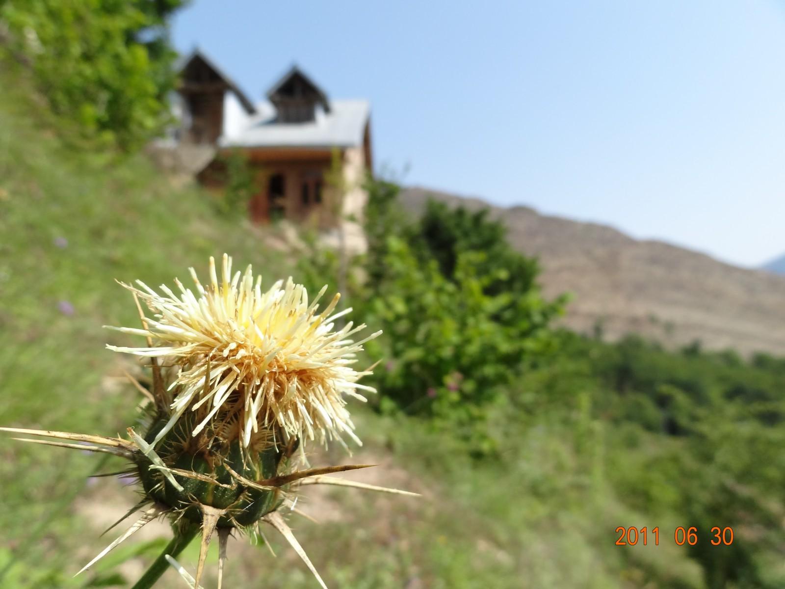 اجاره کلبه روستایی در رودسر